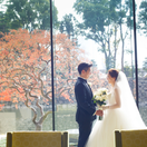 reikaさんのアイコン画像