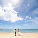 moco_tyo_hnl_wdさんのアイコン画像