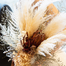 xxyt_wdxxさんのアイコン画像