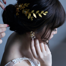 wd_0112crさんのアイコン画像