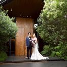 wed_trunk_2509さんのアイコン画像