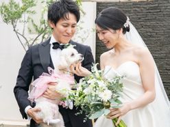 かりさんの画像1枚目