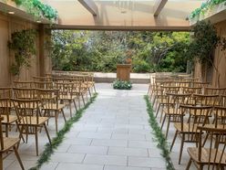 こんにゃくさんの画像1枚目