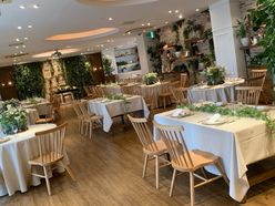 こんにゃくさんの画像2枚目