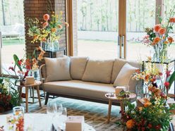 コンドさんの画像2枚目