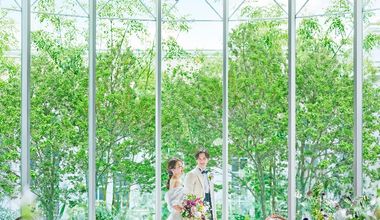 <新登場!!>26年10月・11月【50名278万円→223万円】55万円優待*