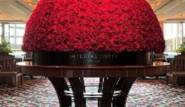 【期間限定プラン】6名様 33万9千円 帝国ホテル 大阪料理長書き下ろしメニュー付き少人数プラン