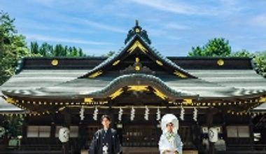 2026年2月~8月【20名】プラン