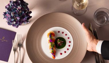 【2026年3月~6月 30名~100名】Elysian Plan