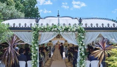 【春&初夏Wプラン】3〜6月*人気シーズンのご案内*ご案内枠残りわずか