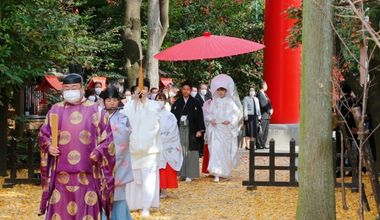 伝統的な神社で挙げる結婚式をされたいおふたりへ|【40名43万】