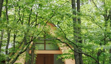 平日限定バリュープラン