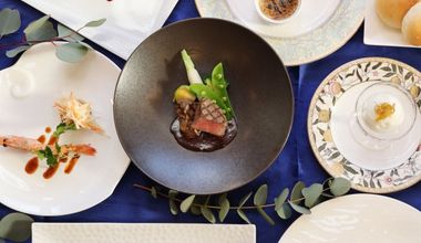 【最上級の美食でおもてなし】プラチナムプラン10名33万1980円