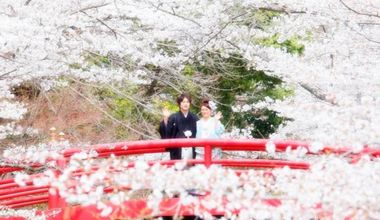 【フォトウェディング】和装プラン