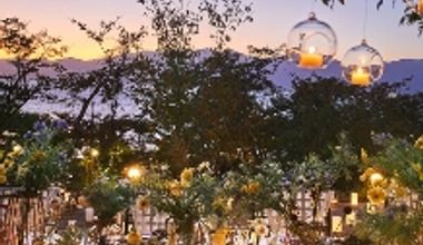 【2025/12~2026/2】★50名105万円分特典★ 更に最大20万円演出特典付き!