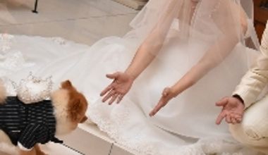 【ペット持込】わんちゃんウェディングプラン