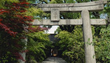 【2026年1~2月限定】神社挙式&披露宴プラン(20名様~)