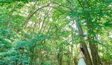 【緑に囲まれたお庭で海外映画のようなガーデンW】ガーデン挙式やBBQも◎