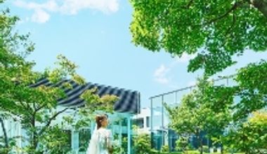 【まだ間に合う!2025年内の結婚式をお考えの方へ】お急ぎ婚プラン!お得な演出特典付きで予算も安心!