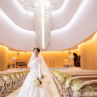 t_____e.20_ndさんの写真