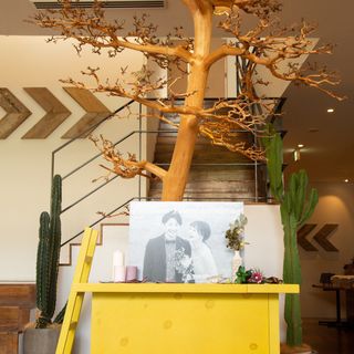 taotan555さんの写真