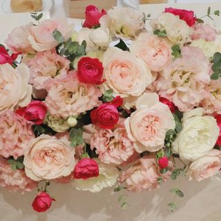 aya_wd0418さんの写真