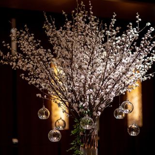 8do.wdさんの写真