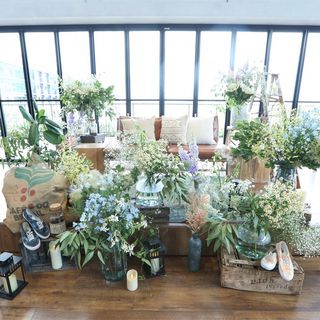 mmyyiiisk_wdさんの写真