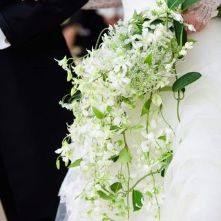 my_wd.yucoさんの写真