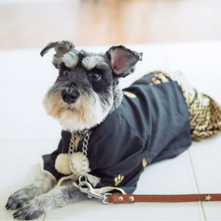 m.syunaさんの写真