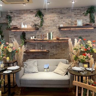 こんにゃくさんの写真