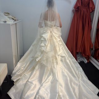 こんにゃくさんの写真