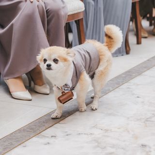 mirpon1212さんの写真