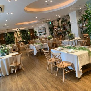 こんにゃくさんの写真