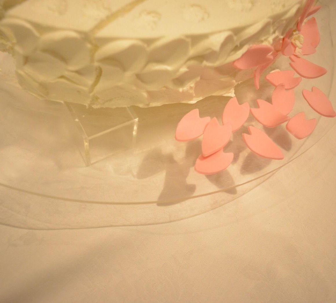 新婦の大好きな桜