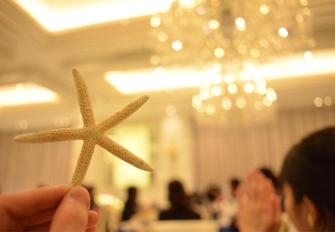 各テーブルに飾った貝殻