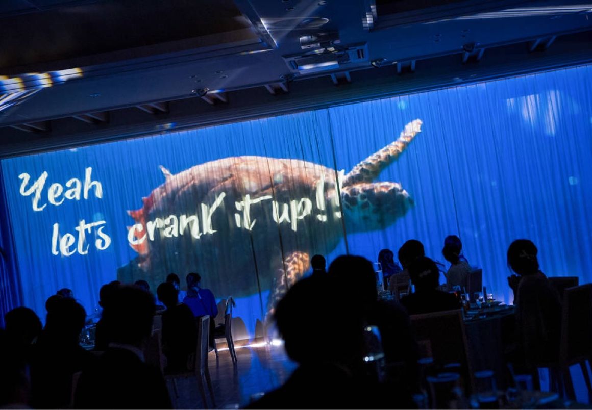 再入場前に流れるモーションカーテン