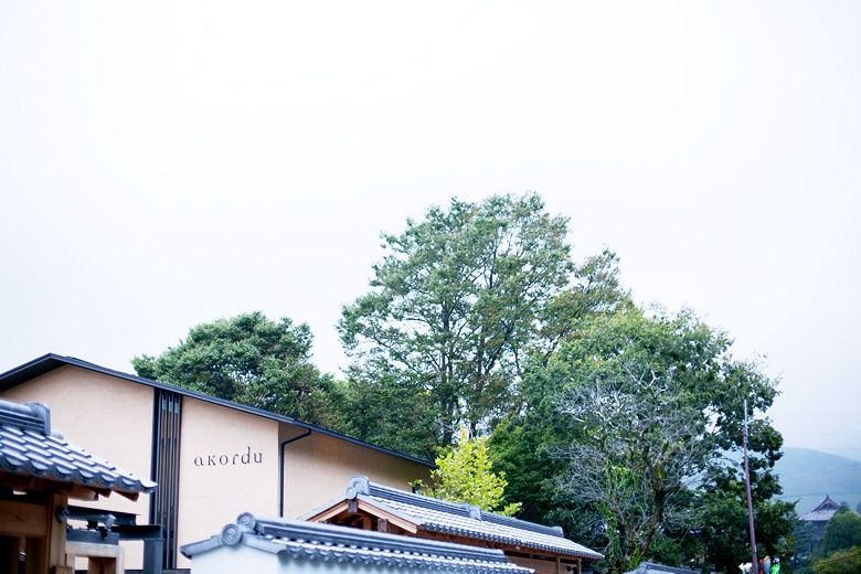 アコルドゥ 奈良公園の公式写真1枚目