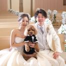 Momohoさんのアイコン画像