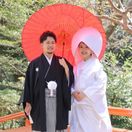 TSTSTSTSさんのアイコン画像