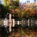 SKさんのアイコン画像