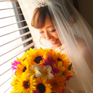 cano.brideさんのアイコン画像