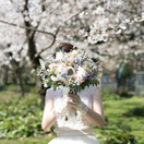 chao.weddingさんのアイコン画像