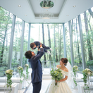 haru_weddingさんのアイコン画像