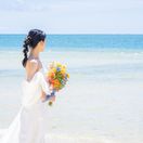 _km.wd_ambさんのアイコン画像