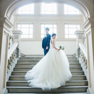 haru_0611wdさんのアイコン画像