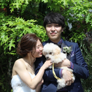 moeyamaguchi1008さんのアイコン画像