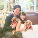 aloha_dachs_tiaraさんのアイコン画像