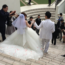 msh__wdさんのアイコン画像