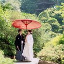 yk_wd_06さんのアイコン画像